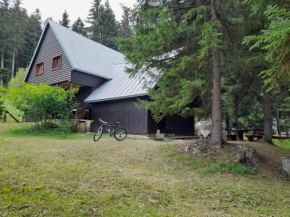 Kleine House
